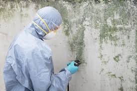 Best Mold Prevention Services  in Fruitland Park, FL